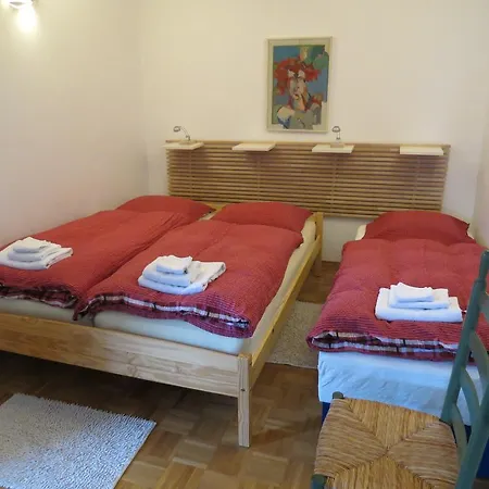 Tinkara Kranjska Gora